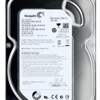 Жесткий диск Seagate ST250DM000 250GB БУ