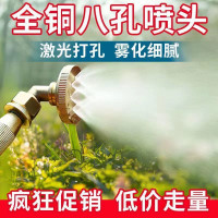 电动喷雾器喷头八孔喷雾器头通用型打药喷头园林园艺加厚雾化喷头