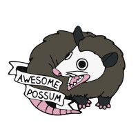 2 Styles Awesome Possum Enamel Pins Cute Animal Brooches Women Men Clothes Lapel Pin Badges Jewelry Accessories Gift for Friend