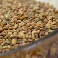 Пажитник, шамбала, хельба 300 гр. Житница здоровья