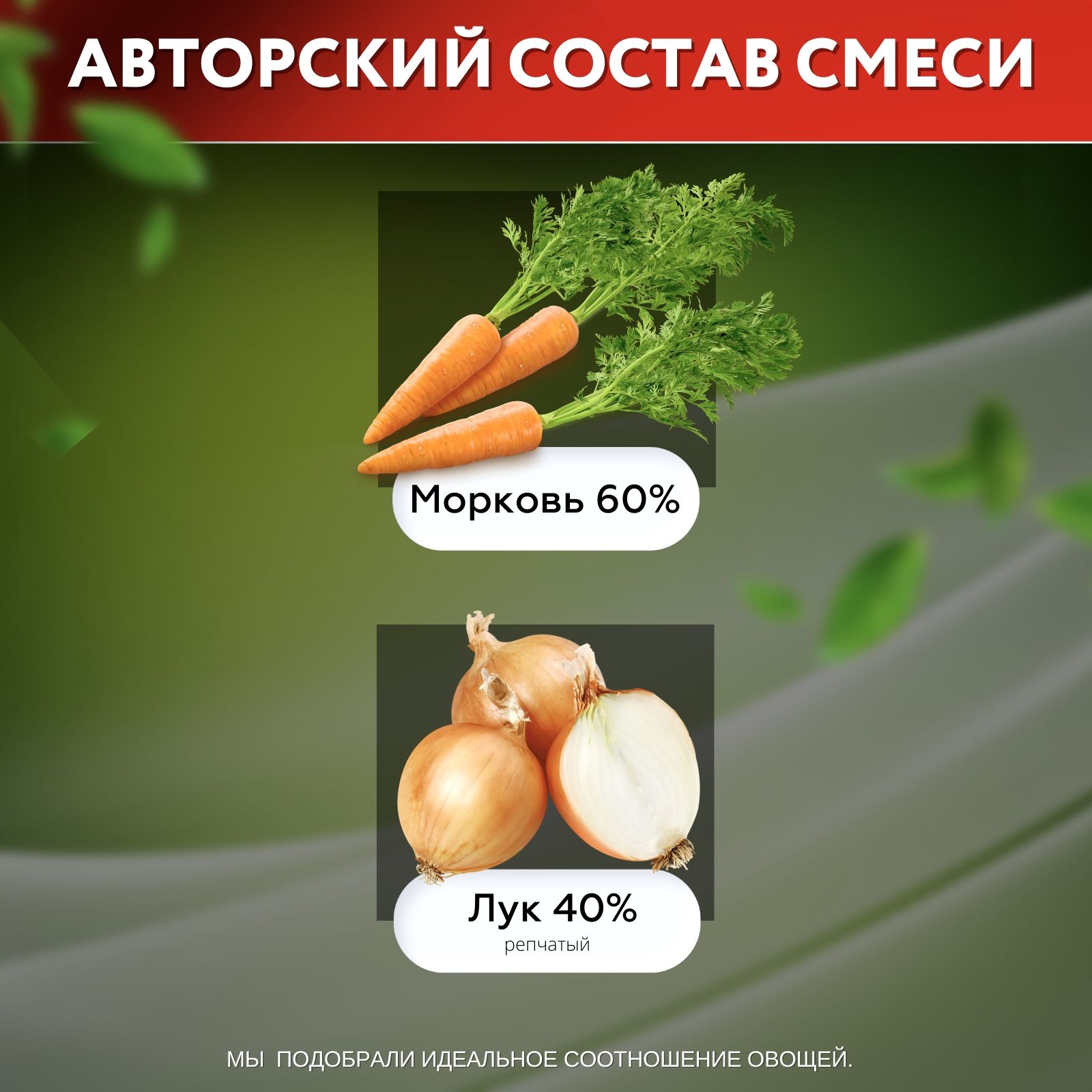 Текстовое описание изображения