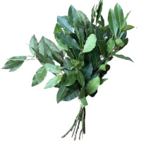 Лавровый лист на ветке свежий 120 гр.