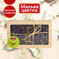 Мальва синяя цветки