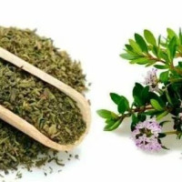 КОНДАРИ (ЧАБЕР, ЦИТРОН), сушёный 100 гр.