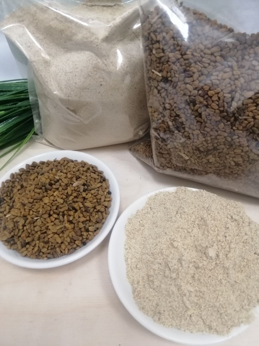 Текстовое описание изображения