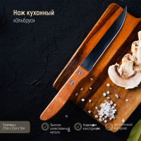 Нож кухонный, универсальный, "Эльбрус", длина лезвия 11,5 см, нержавеющая сталь, деревянная ручка.