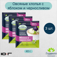 Хлопья овсяные с яблоком и черносливом, Гудвилл, НТВ, 40 гр. - 3 шт.