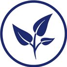 Текст при отключенной в браузере загрузке изображений