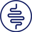 Текст при отключенной в браузере загрузке изображений