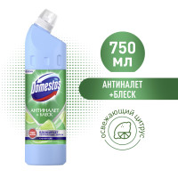 Универсальное чистящее средство-гель Domestos антиналет + блеск, освежающий цитрус, 750 мл