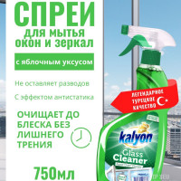 Средство для мытья окон и зеркал стеклоочиститель KALYON WINDOW CLEANER 750 мл