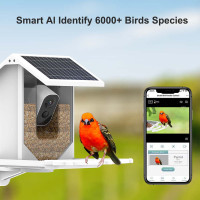 Беспроводная солнечная кормушка для птиц с камерой, наружная камера, автоматический захват, дом для кормления птиц 1080P с камерами, интеллектуальное определение видов птиц с помощью AI, уведомление об обнаружении птиц