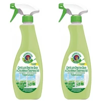 Спрей для очистки окон и стеклянных поверхностей, 625мл, 2шт