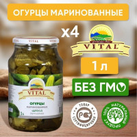 Огурцы маринованные Vital Армения, 4 литра (соленья)