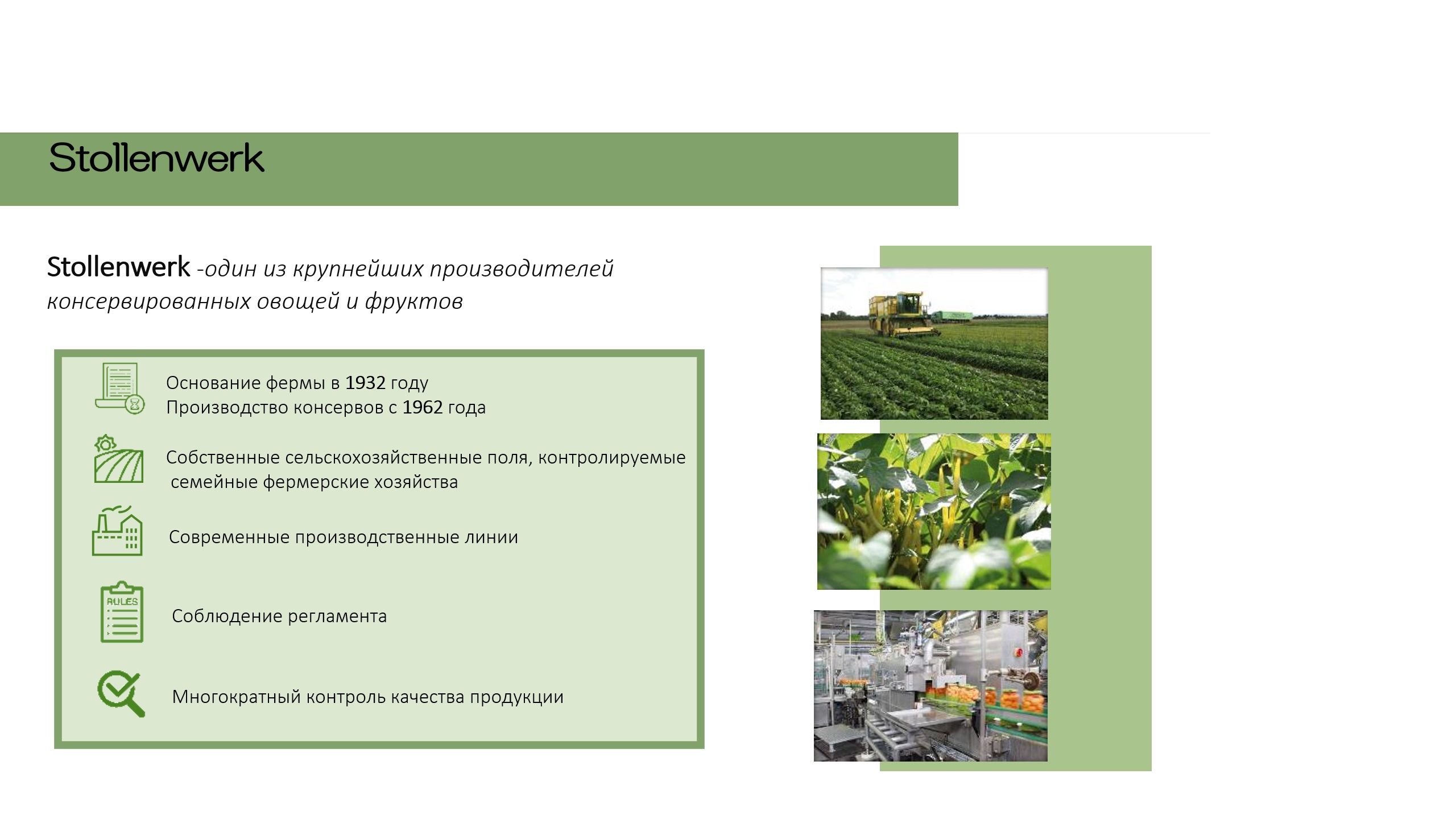Текстовое описание изображения