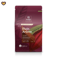 Какао порошок Cacao Barry Plein Arome 22/24, пак 1 кг