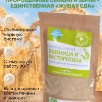 Пророщенные семена расторопши и зерна пшеницы в порошке коктейль правильное питание для похудения