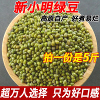 小明綠豆5斤當季新綠豆壩上農家自種綠小豆綠豆湯綠豆沙易煮開花