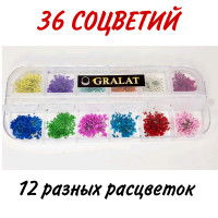 Сухоцветы для дизайна ногтей D 1-2 см. + пластиковый кейс, 36 шт. соцветий, набор 12 расцветок.