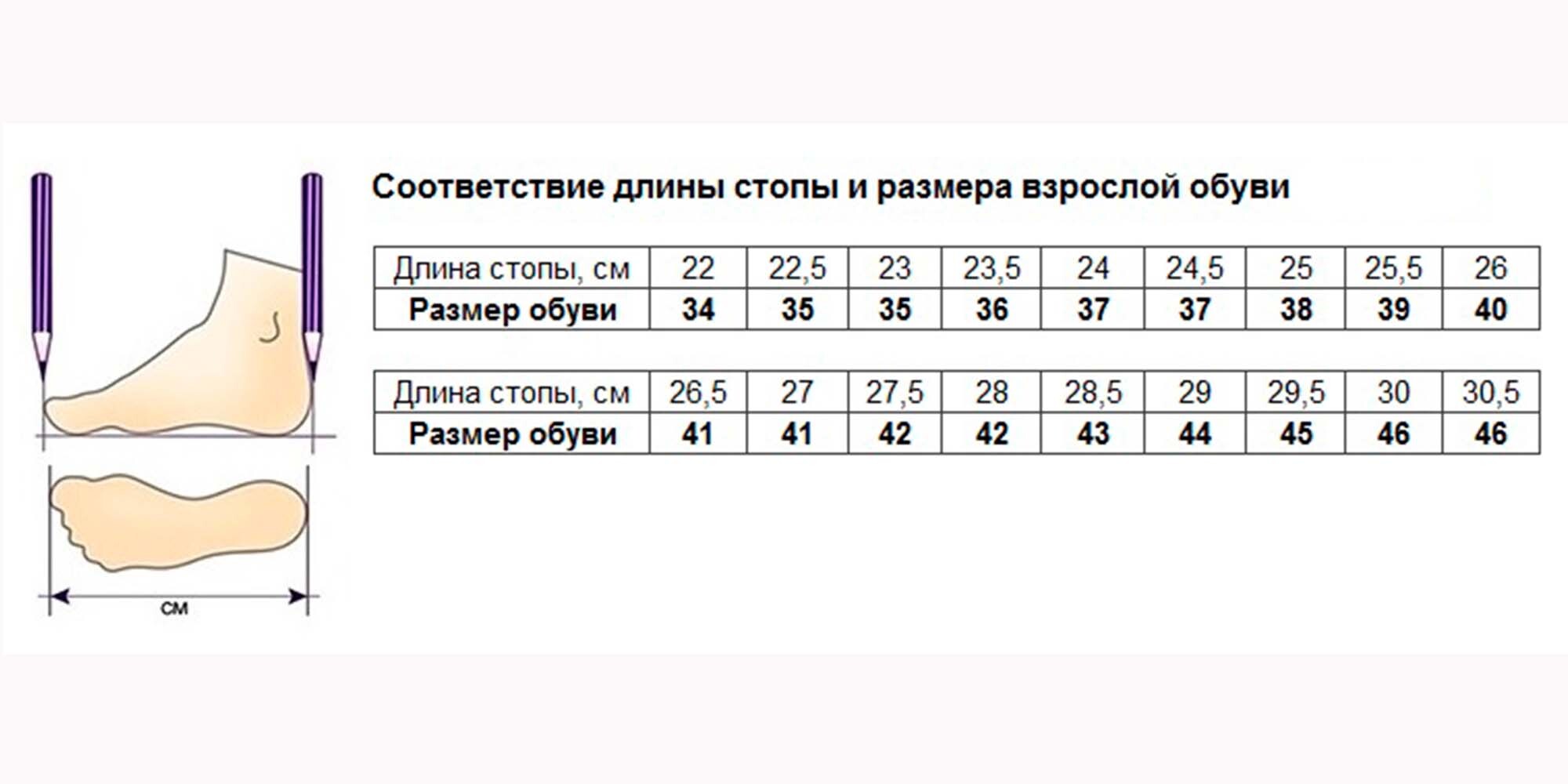 Текстовое описание изображения