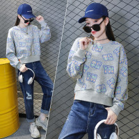 歐貨衛衣女士春秋2023年新款寬鬆洋派秋裝短款時尚設計感小眾上衣