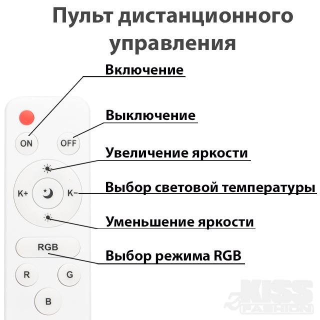 Текстовое описание изображения