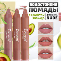 Teayason Lipstick Помада-карандаш для губ, матовая, стойкая, набор