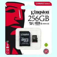 Карта памяти microSD 256 ГБ / microSDHC Canvas 256 ГБ / Карта расширения памяти 256 GB/ SDSa/bc