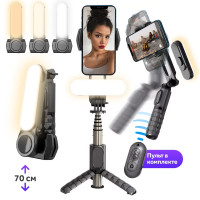 Стабилизатор для смартфона Goodly Selfie Stick Tripod Q09 с LED подсветкой, 5 в 1, портативная селфи лампа, монопод, встроенный штатив, трипод с Bluetooth пультом для телефона, черный