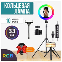 Кольцевая напольная RGB LED лампа 33 см с ДВУМЯ штативами и 3 вариантами освещения, студийный светодиодный светильник с пультом для фотографов, визажистов и видеоблоггеров