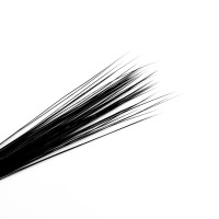 I6CV仿真猫胡子动物胡须羊毛毡DIY配件手工黑色狗胡子英短猫胡须