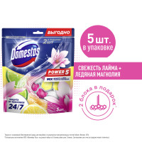 Блок для унитаза Domestos Power 5 Свежесть лайма и Ледяная магнолия, защита от микробов и налета, 2х50+3х50 гр