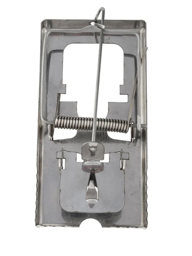 мышеловка острозубка