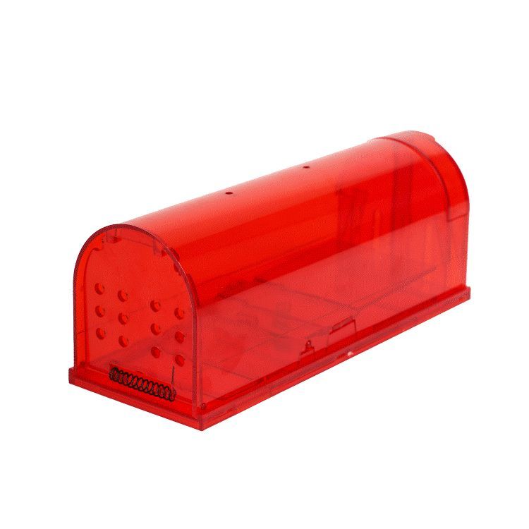 два кота макси красная мышеловка