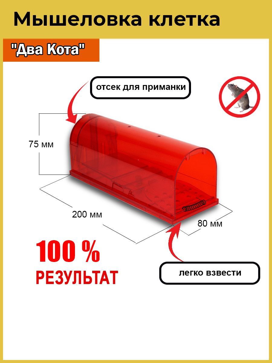 мышеловка макси два кота