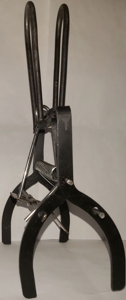 Текст при отключенной в браузере загрузке изображений