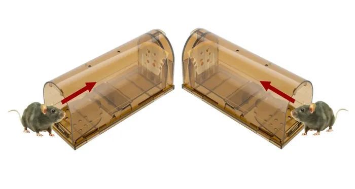 две мышеловка