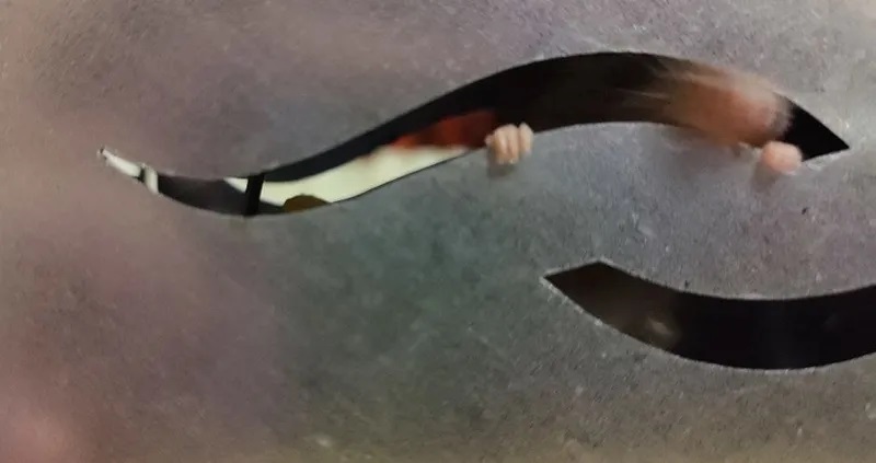 Гуманная мышеловка Гроза