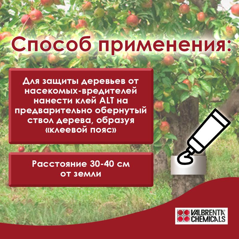 Ловчий пояс. Создание ловчих поясов – клеевой слой на стволе дерева создает непреодолимое препятствие для насекомых-вредителей. Клей наносится на ствол весной, на высоте 30-40 см. Клеевой пояс обновляется по мере его заполнения погибшими вредителями (раз в несколько недель).