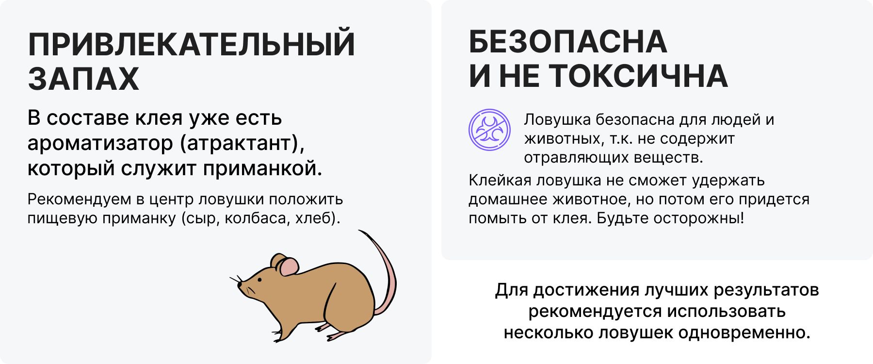 Текстовое описание изображения