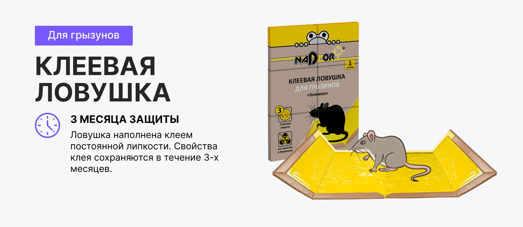 Текстовое описание изображения