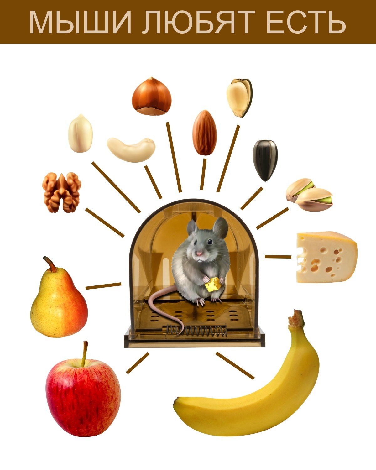 Мышеловка Два Кота Макси