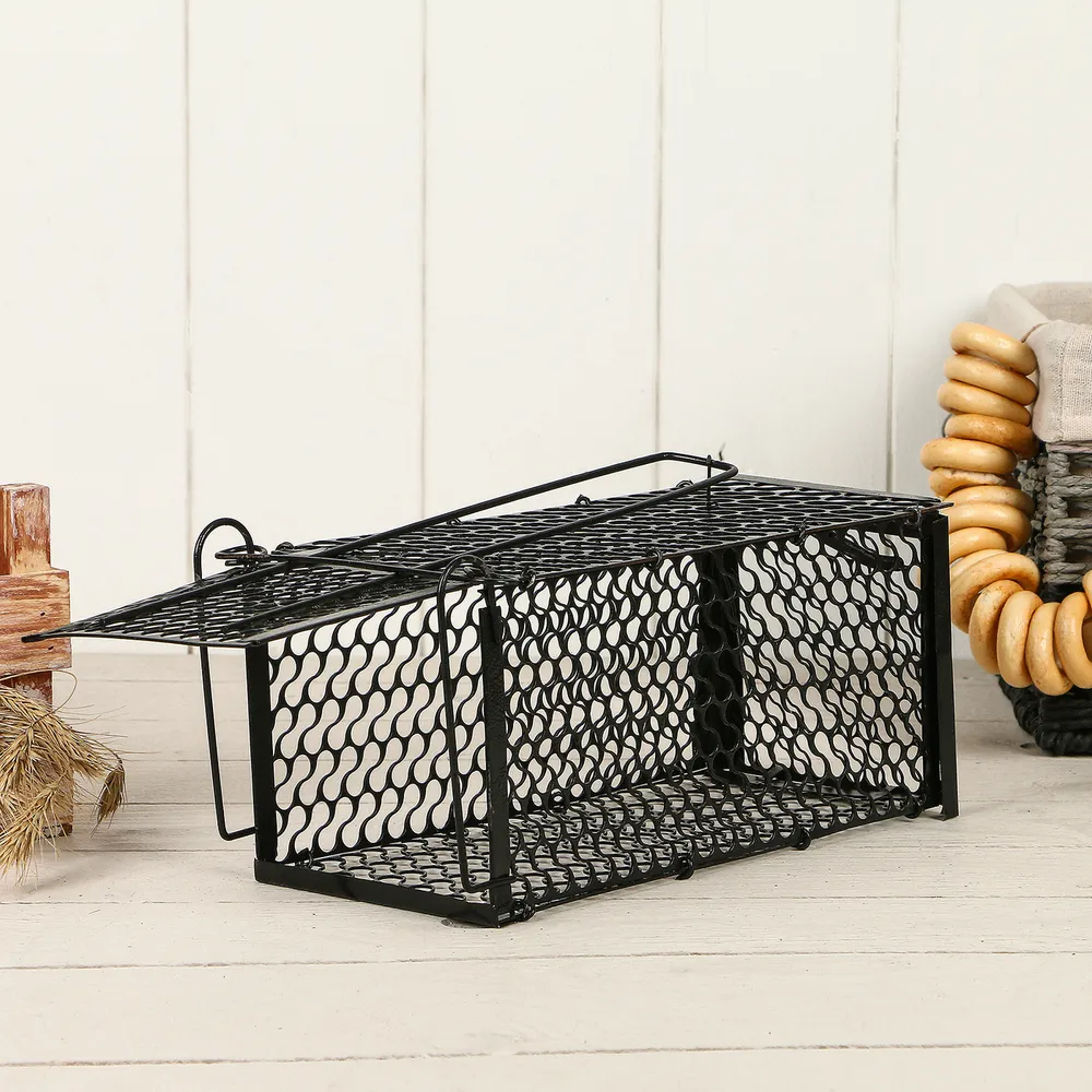 Текст при отключенной в браузере загрузке изображений