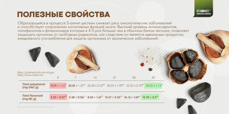 Текстовое описание изображения