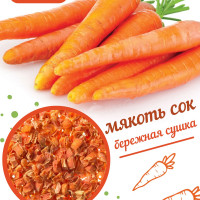 АНТИВИРУСНЫЙ ГЕРОЙ / Морковь сушеная 500 гр. / Кубики снэк / Кусочки / Витамины / Заправка для супа / Приправы и специи