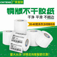 驰腾铜版纸 宽20-40多规格铜板空白标签纸商标打印印刷不干胶贴纸