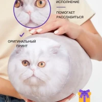 Игрушка валик для детей Кот