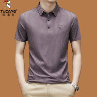 啄木鳥夏高端桑蠶絲短袖T恤中年男士翻領寬鬆無痕冰絲薄款POLO衫