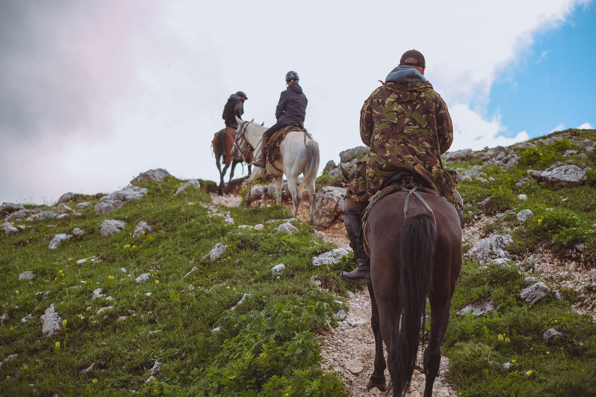 Интернет-магазин «Жёлуди» - это команда профессионалов зеленой отрасли. Мы работаем для того, чтобы сделать доступным посев семян древесных и кустарниковых культур для широкого круга наших клиентов. В нашем багаже есть богатый опыт работы с древесными культурами, это выращивание, размножение, уход. Мы глубоко понимаем процессы, происходящие с растениями и на основе этого опыта выбираем самые лучшие семена по всей России и не только, и предоставляем возможность приобрести их на нашем интернет-магазине.