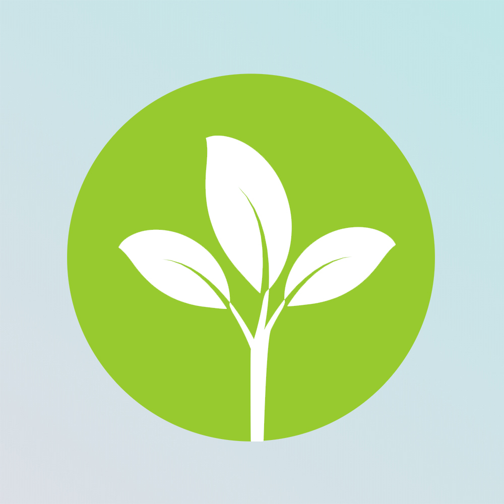 Текст при отключенной в браузере загрузке изображений